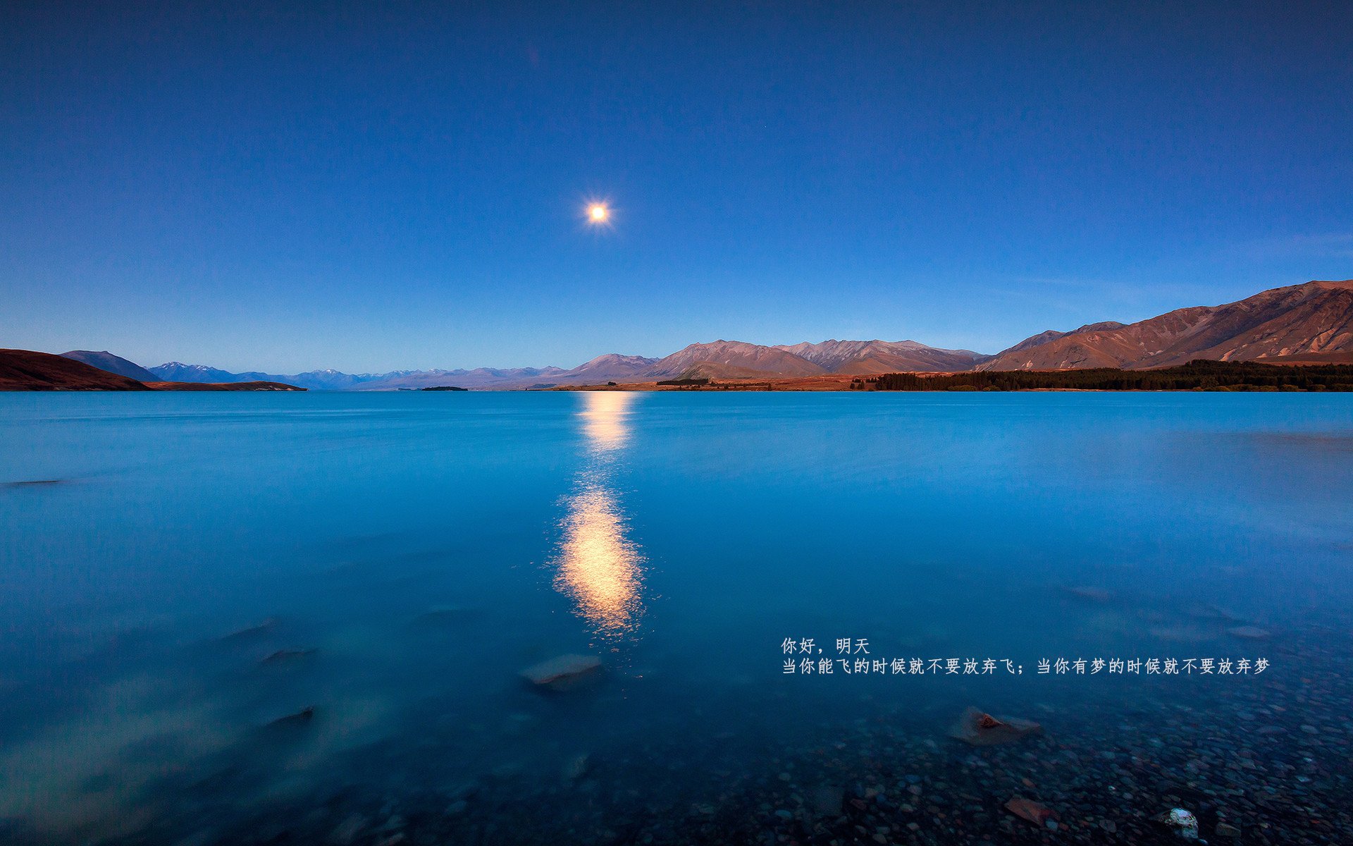 “马丁·高尔西：阿根廷橄榄球的新传奇，未来可期”