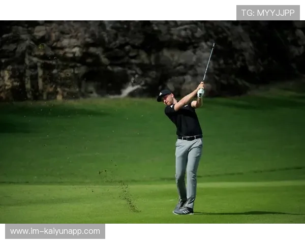 上海大鲨鱼 老将状态回暖，上海大鲨鱼2016